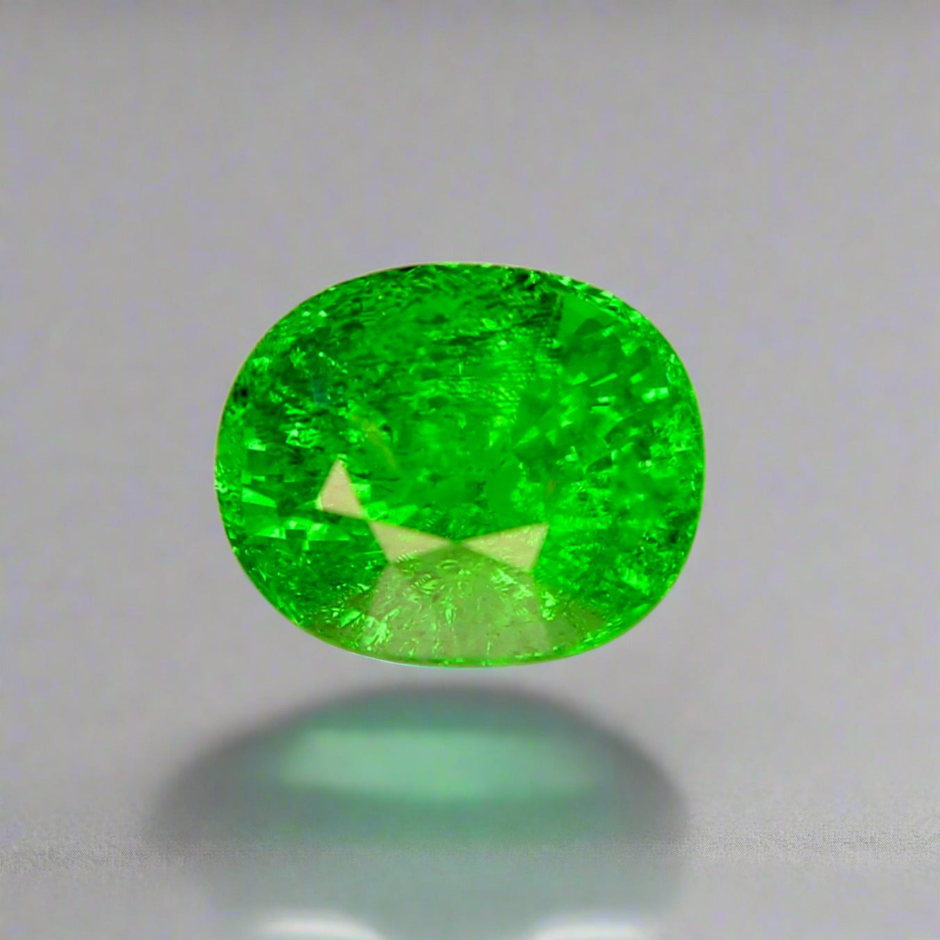Vivid Green Oval Tsavorite Garnet - 3.91 Carat