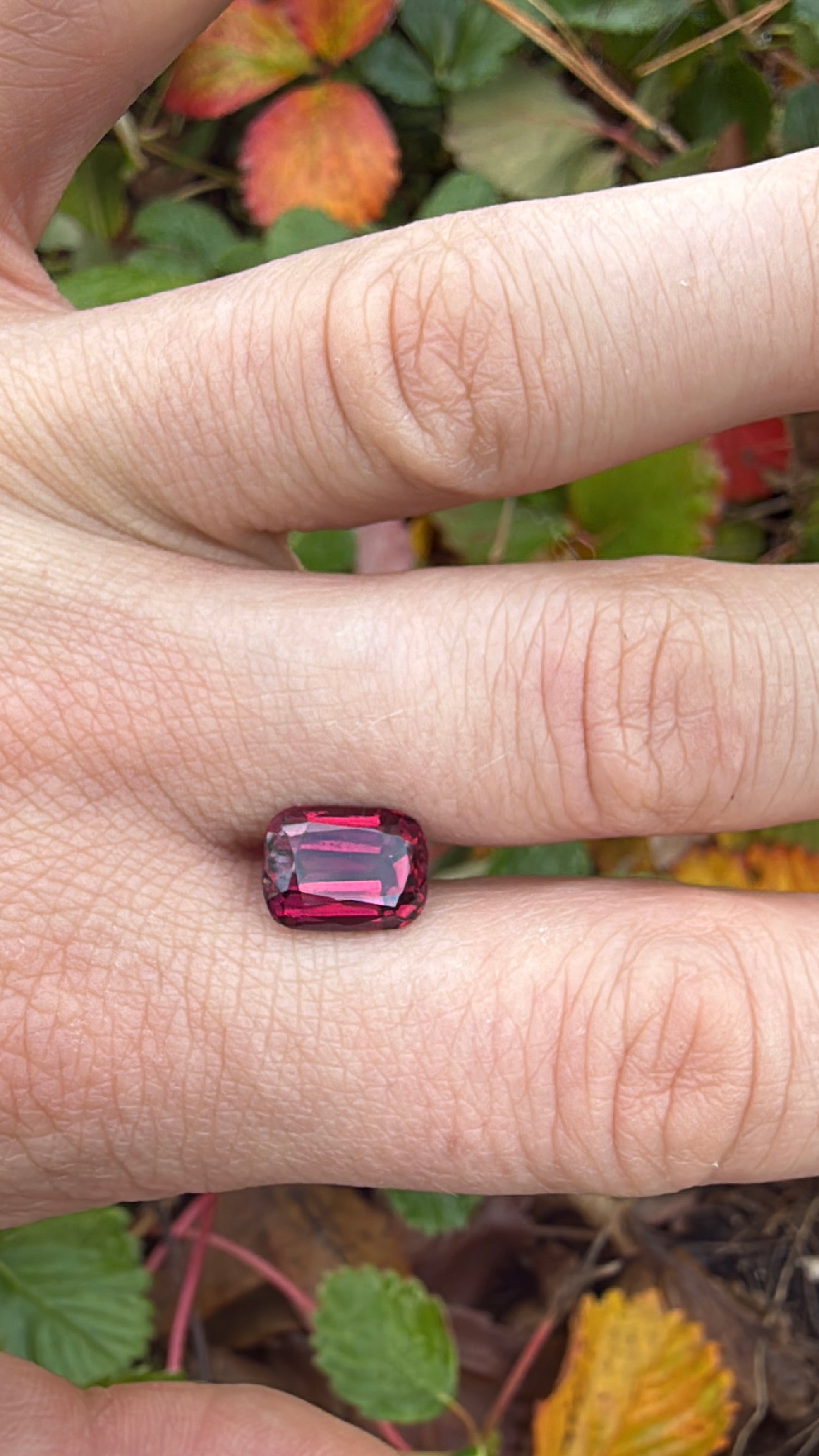 5.9 Carat Rhodolite Garnet Cushion